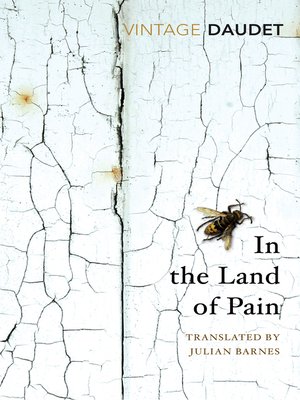 cover image of In the Land of Pain